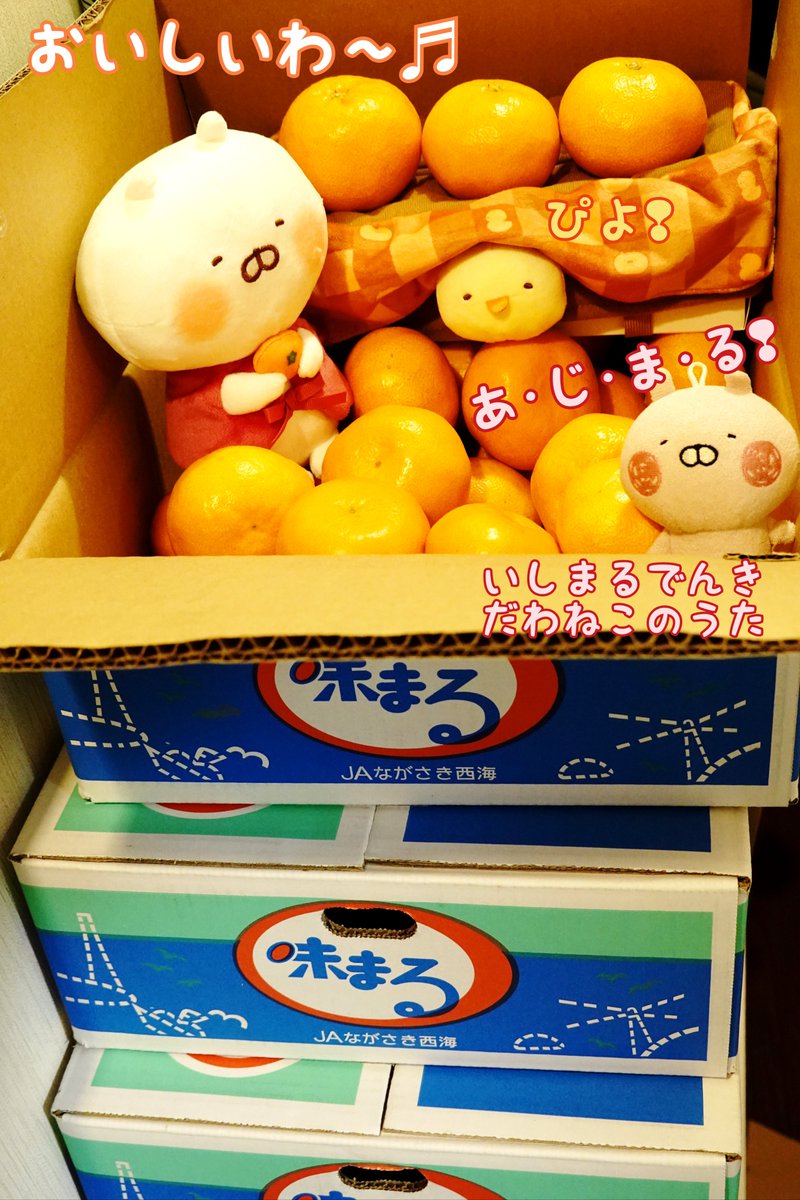 こたつのおともはおいしいみかんひえ❢ まいしゅうはこがいであっ