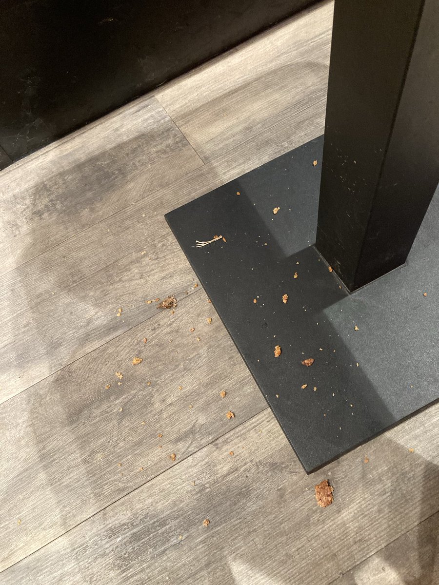 Judith Lewis tweet media