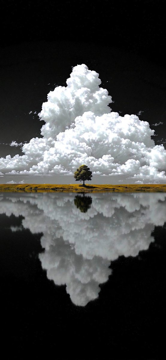 Spellborne tweet media