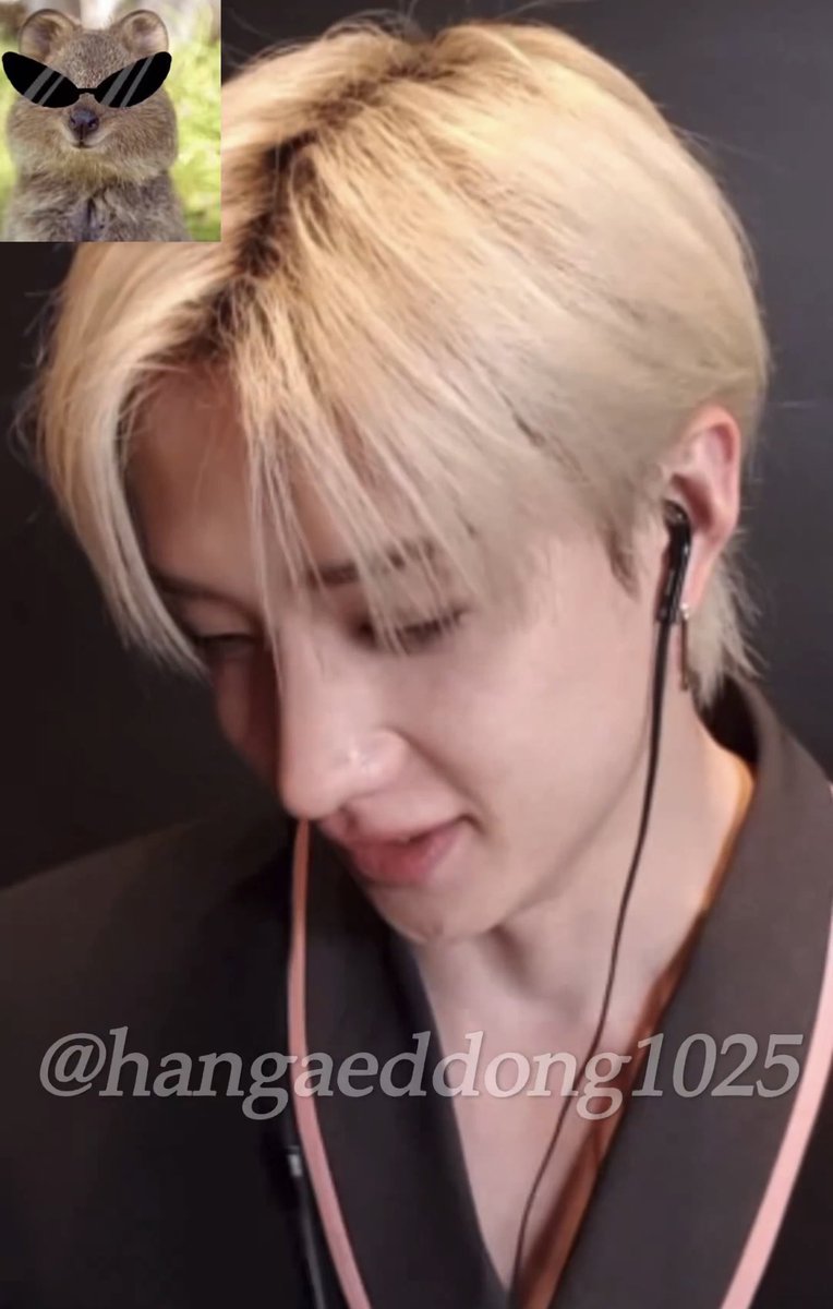 daily channie ♥︎ tweet media