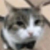 ̷ 𝘩𝘦͟𝘭𝘪𝘰 tweet media