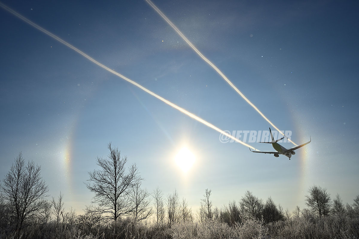JETBIRDER's tweet photo. 飛行場を覆っていたFZFGが次第に消散して太陽の周りに見事なハロが出た。そこへ長いリボンを曳いて滑り込んできたボーイング737。
こんな出来すぎたショット、二度と撮れないだろうなあ🌈
📷NikonD500
🍄AF-S DX NIKKOR 16-80mm F2.8-4E ED VR https://t.co/sYY76mr3Ix