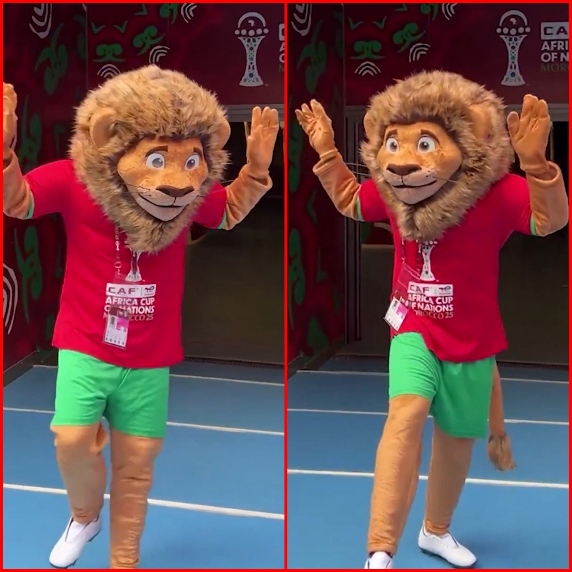 التميمة الرسمية لكأس الأمم الإفريقية 2025 "أسد" من ملعب مولاي عبد الله قبل افتتاح البطولة 