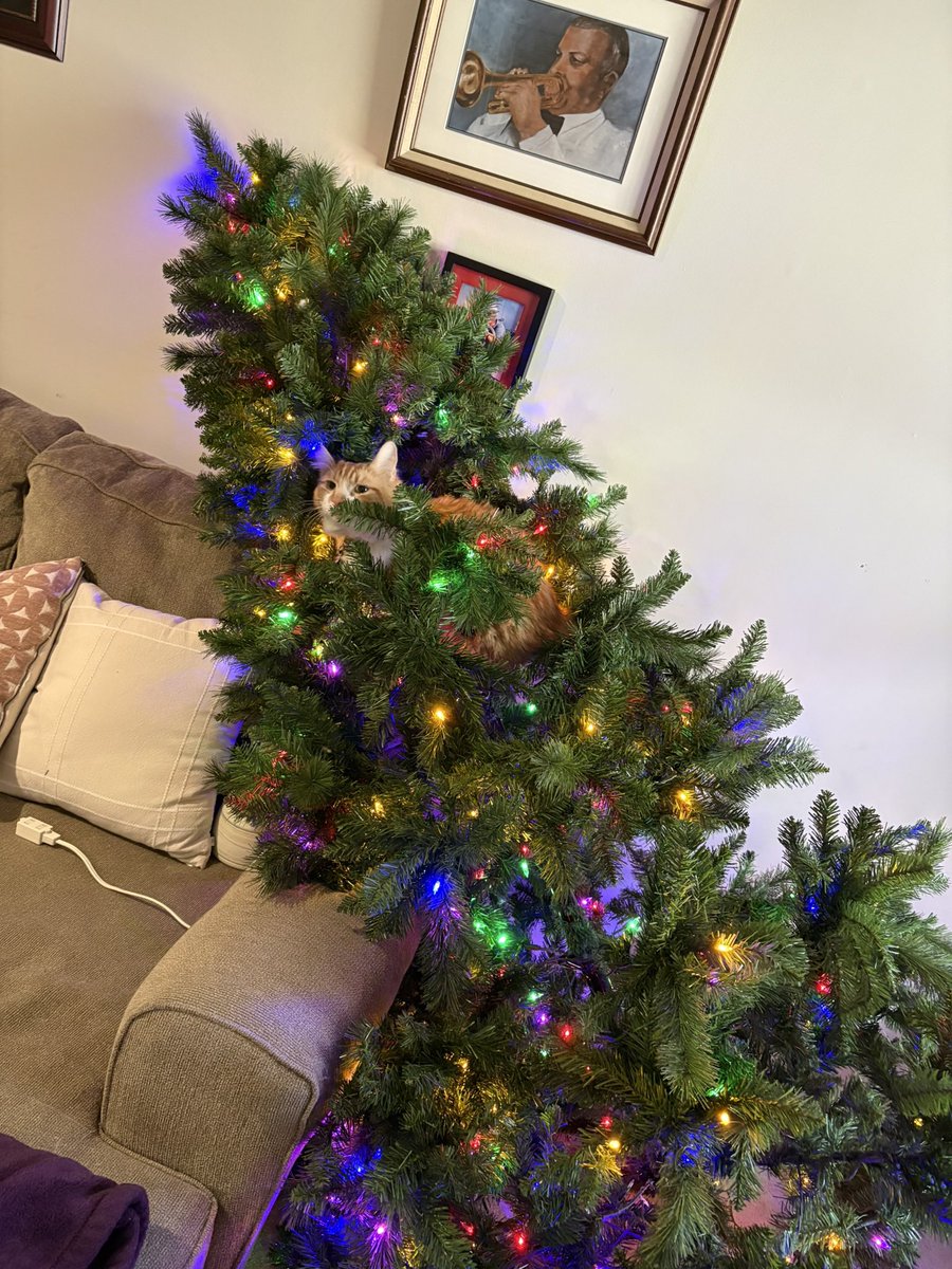 UnfilteredVicki's tweet image. Dealing with a situation this morning.