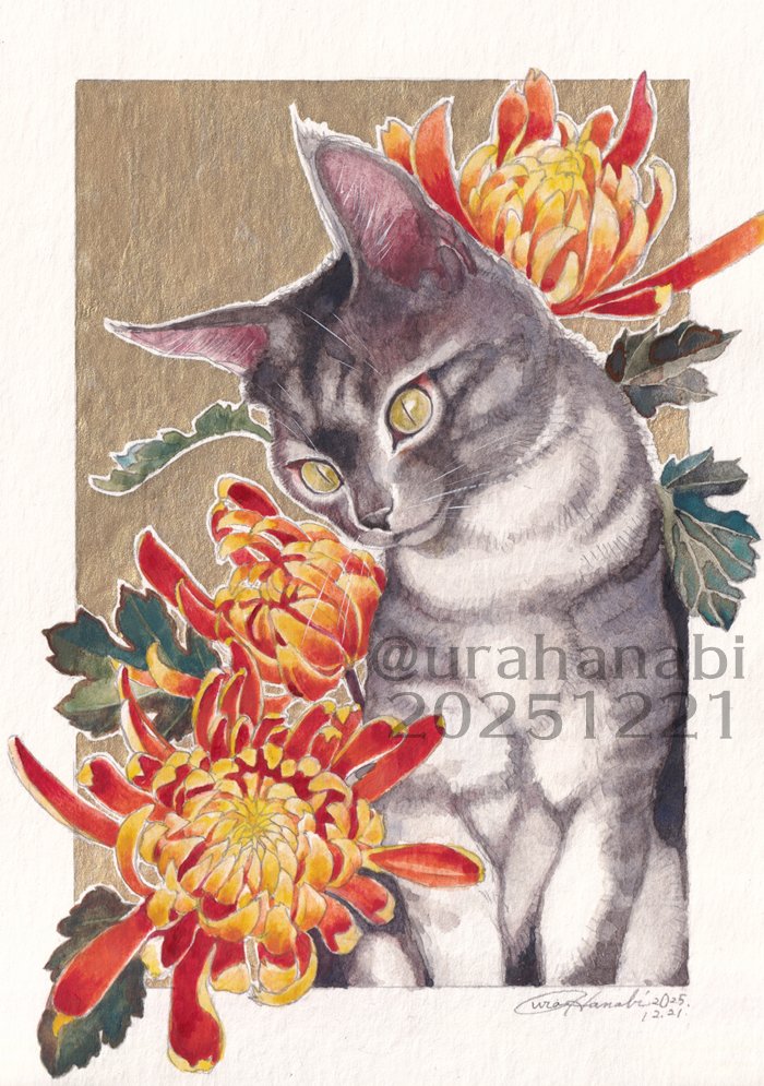 こちらも画いてました。絵に書いた菊の花です。フエゴ。いつか本にするなら見開きでこうして配置してページにしたいな。#裏花火落書 #園芸覚書 
文字はすべて #カラーマスターミリ 黒01です。 