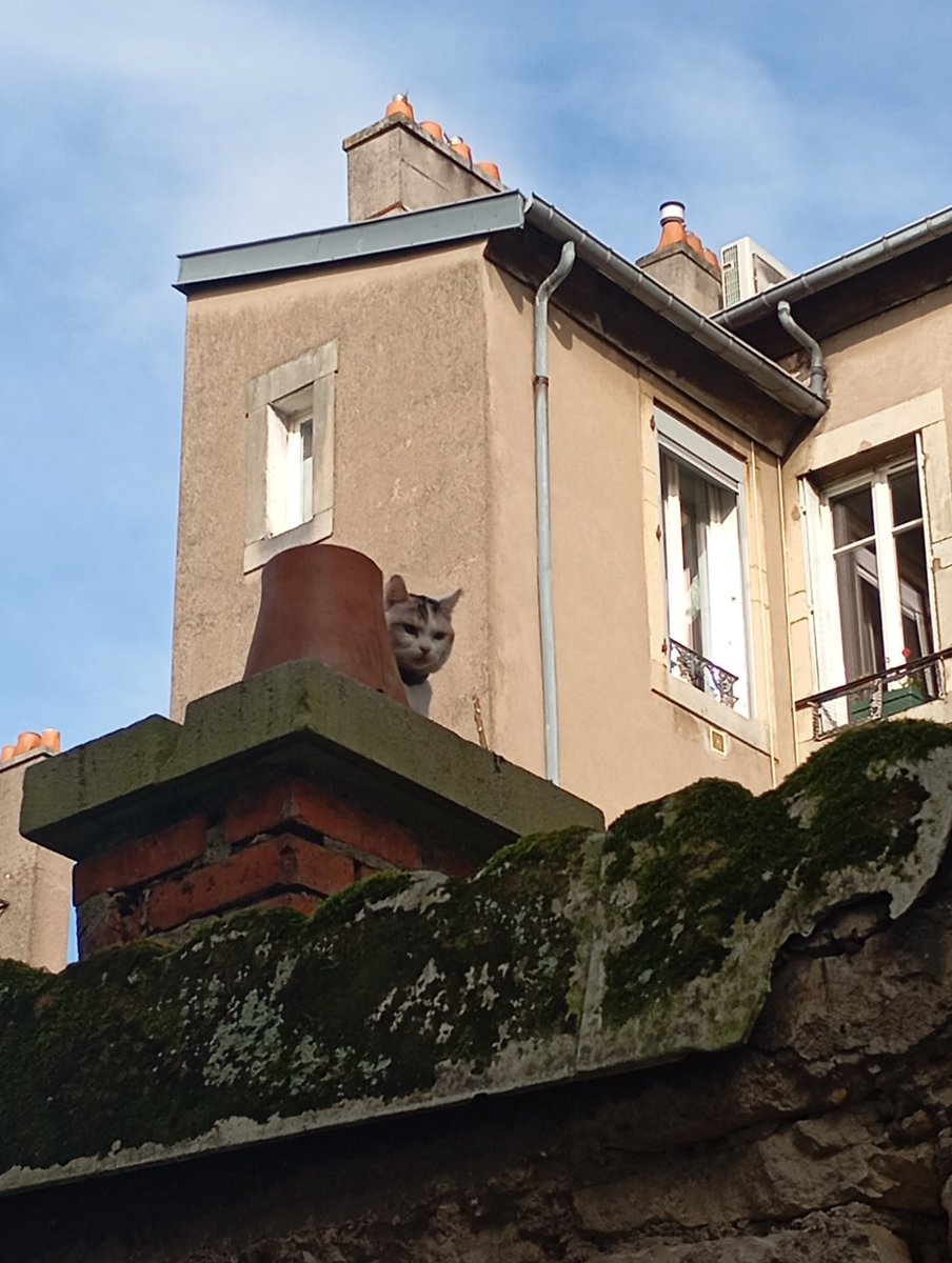 leaa_ricot's tweet image. « j’espère qu’elle ne me voit pas »