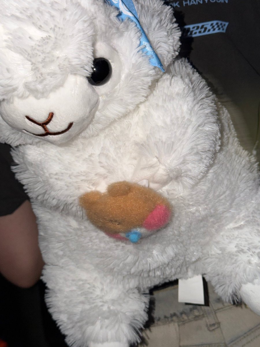 hamtext's tweet photo. 251221 🐹➕

“alpaca🦙” https://t.co/qNTbNzauSu