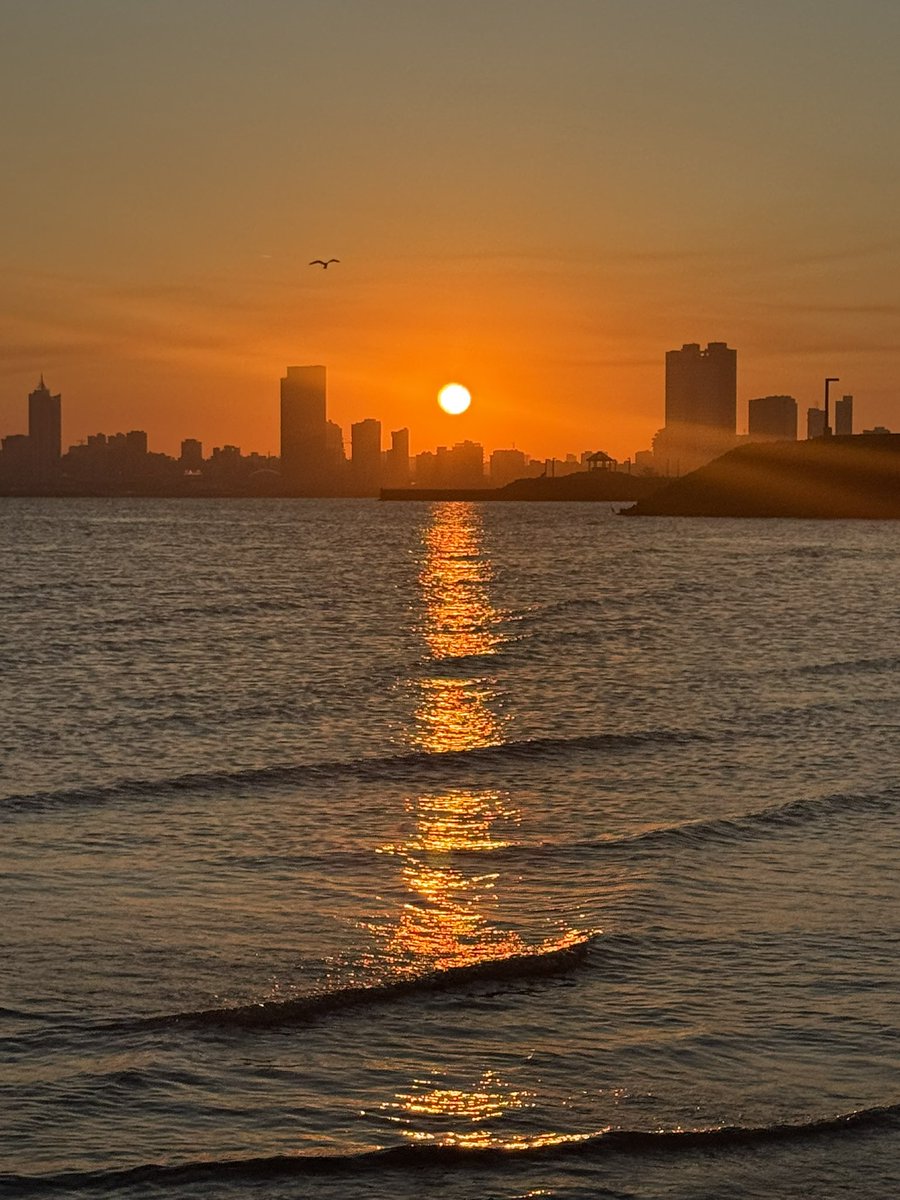 Manalafanehh's tweet image. “When you know your worth, you attract those who appreciate your value.”