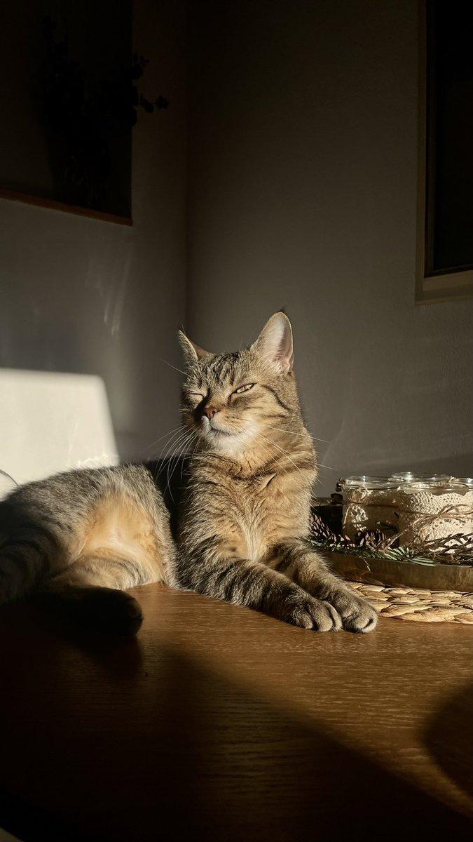 unrealunearths's tweet photo. prettiest boy https://t.co/LkVjV0Ie7O
