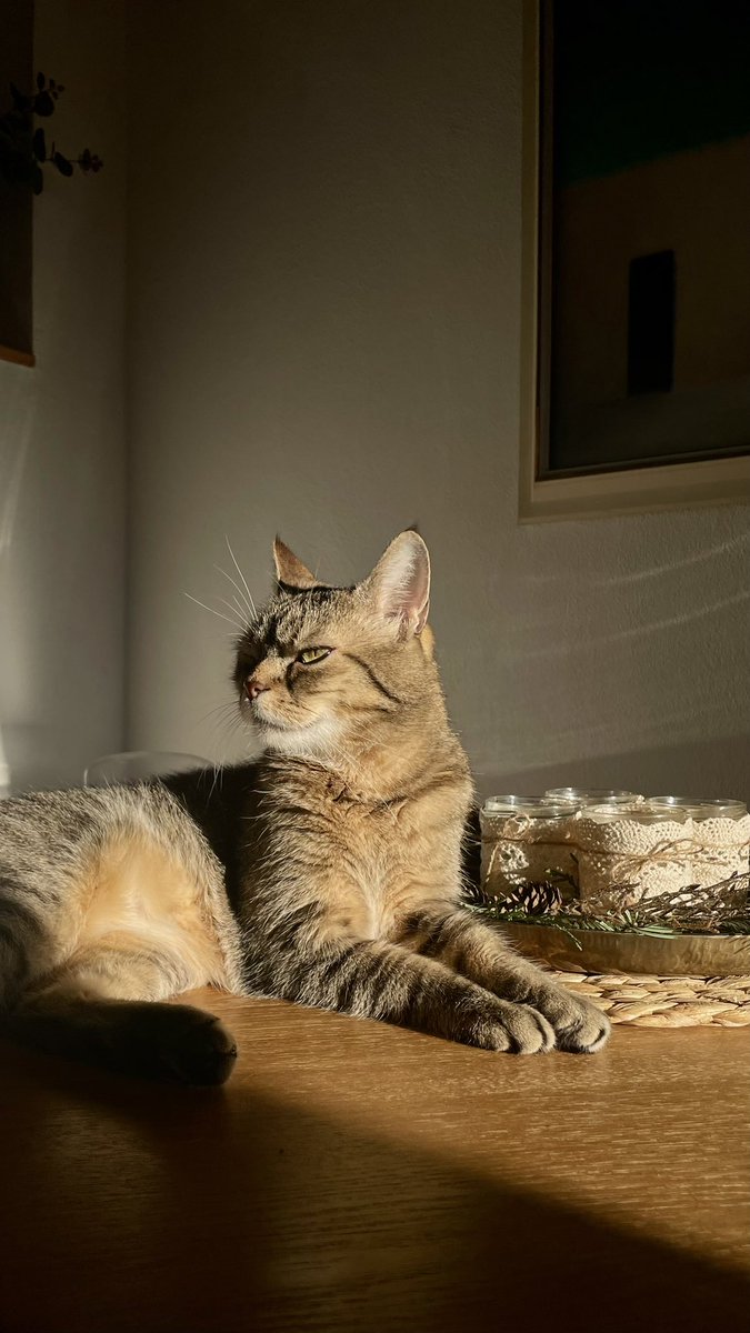 unrealunearths's tweet photo. prettiest boy https://t.co/LkVjV0Ie7O