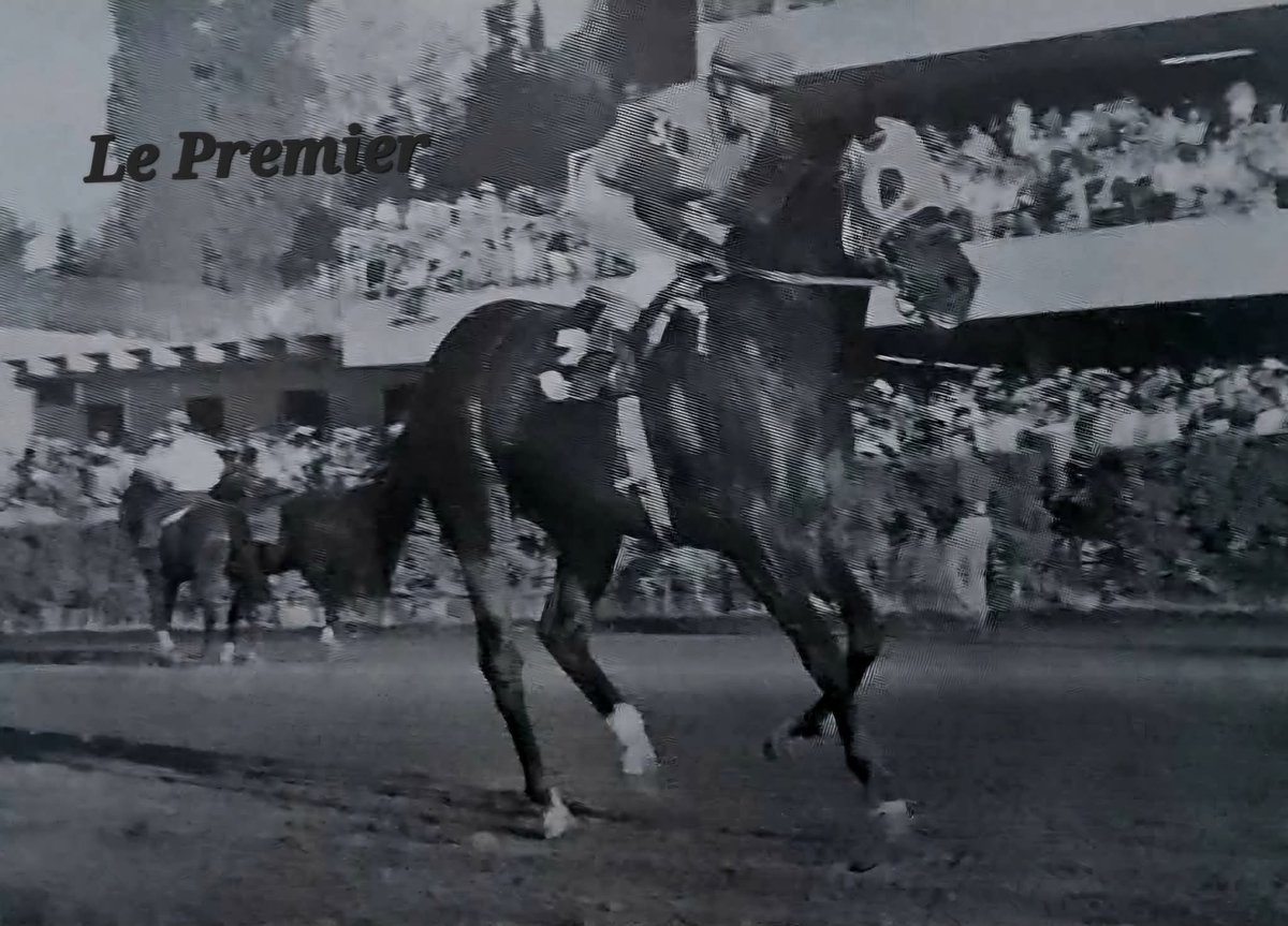 HORSERACING1002's tweet photo. LE PREMIER🇲🇽 1972
(FIRST LIGHT - TUNECINA BY TALGO II)#LePremier
B/ Justo Fernandez 🇲🇽 1972
O/ Cuadra Las Animas
10-3-4-0 ----$348,070
Clasico Asociacion Nacional de Criadores, Futurity Mexicano. https://t.co/kQSfah6ISx