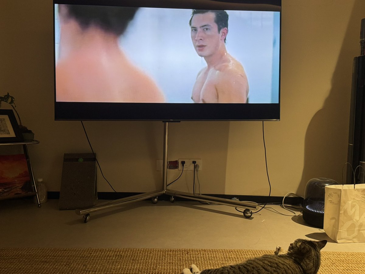 Capman20's tweet image. 小色猫/Merry Xmas/生日快乐🎁