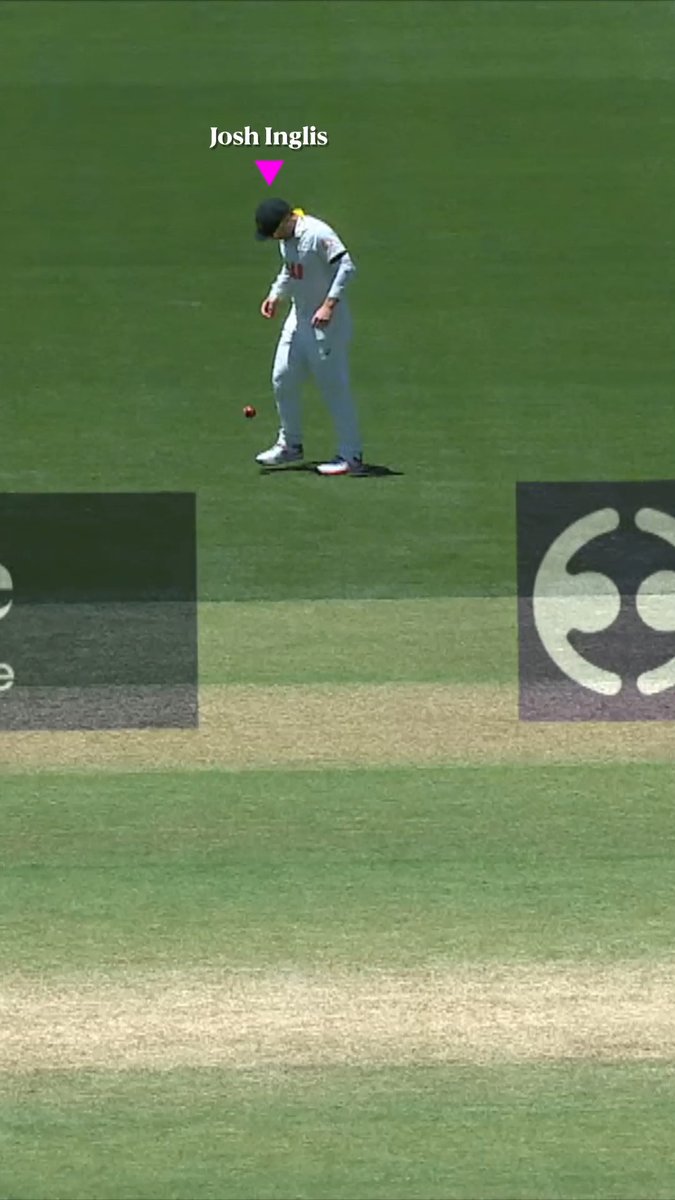 Australias Josh Inglis is playing Picture