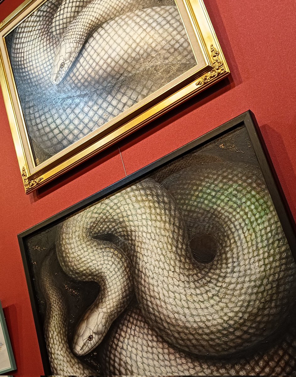 Kardalio_JP's tweet photo. 明日から吉田妨論さんの個展が始まります！

#蛇好き #白蛇縁起 #白虎 #snakeintheoffice #Japantravel #nagoya https://t.co/r8PS64VJ2f