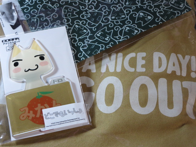 どこでもいっしょ