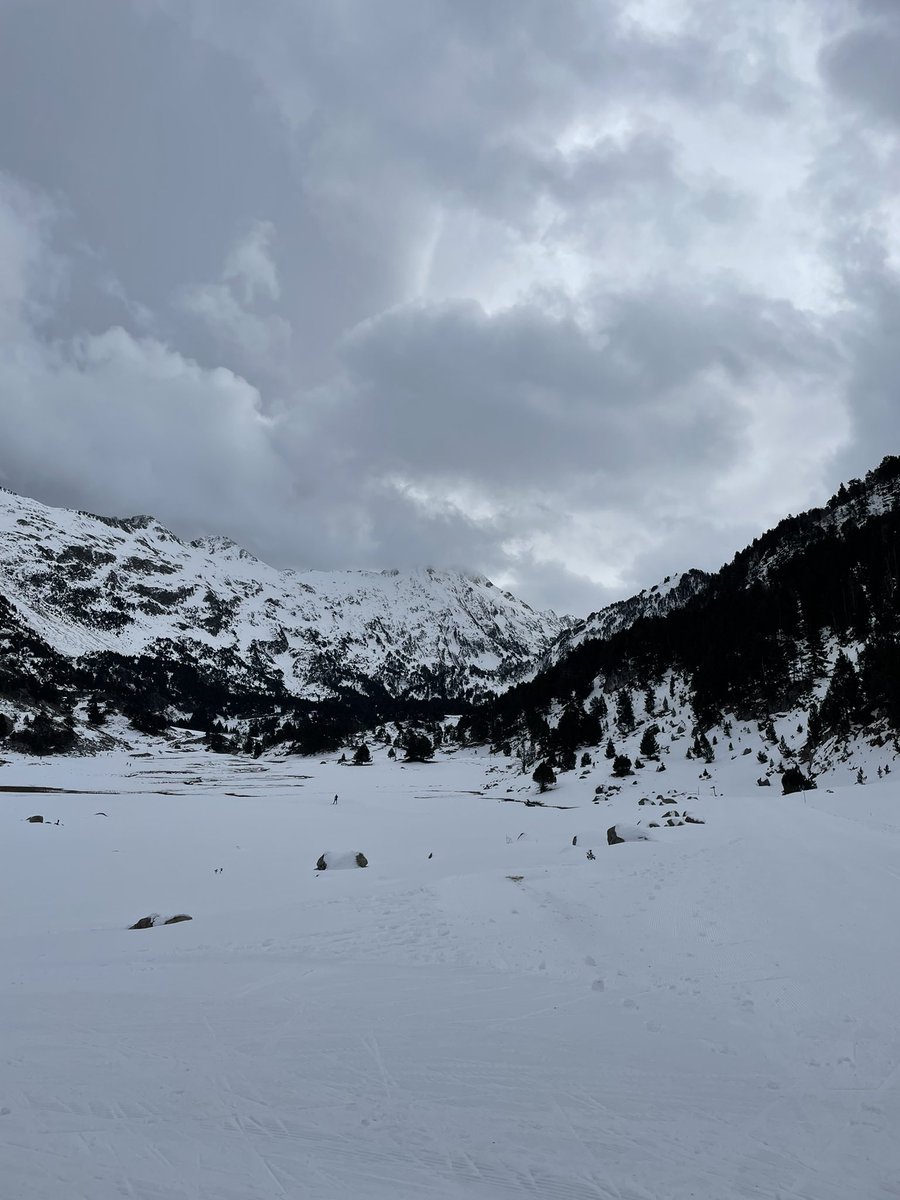 Flip Floppers tweet media