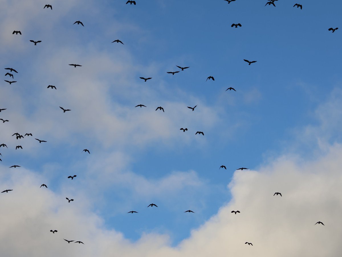 Dr Emma Preece tweet media