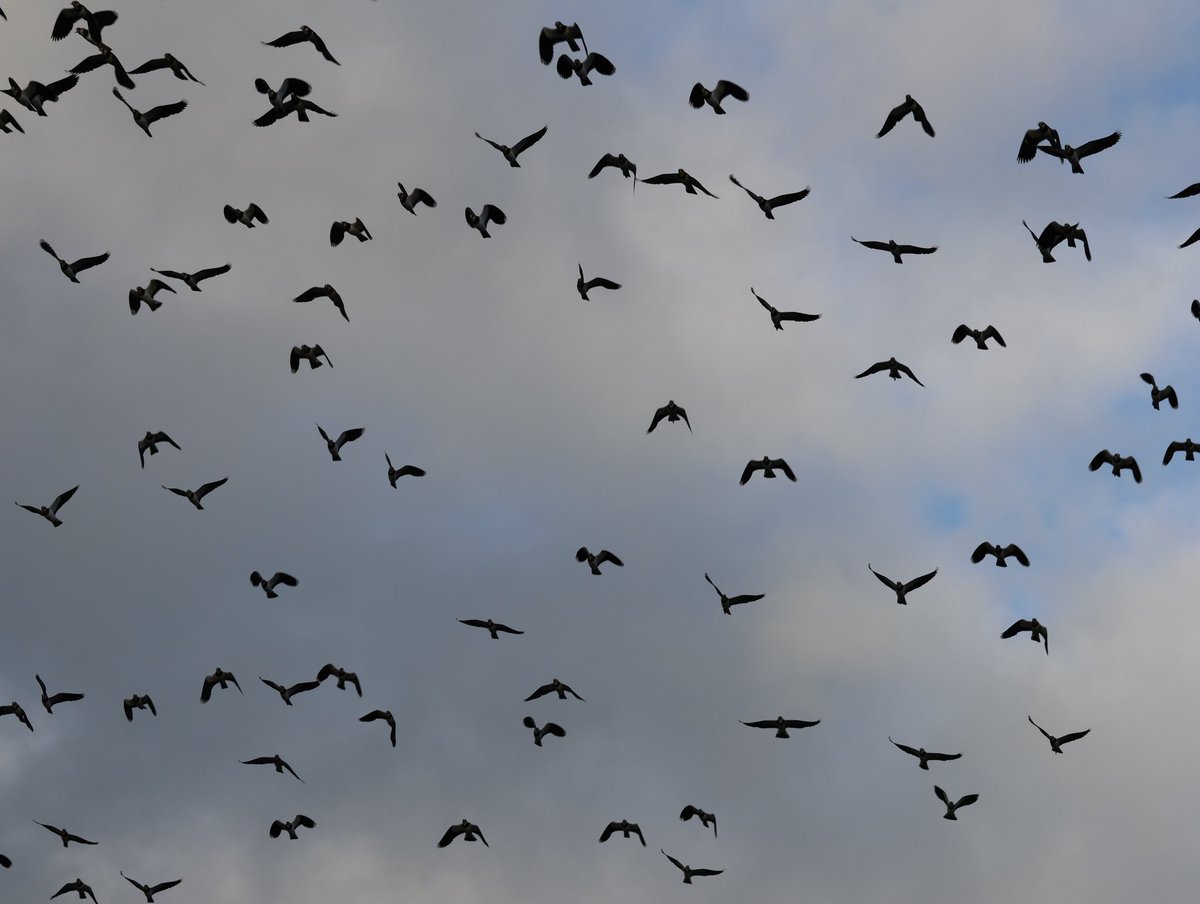 Dr Emma Preece tweet media