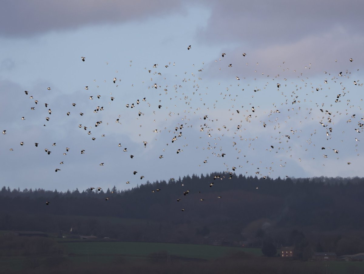 Dr Emma Preece tweet media