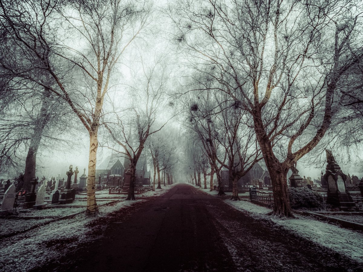 Sean Murphy tweet media