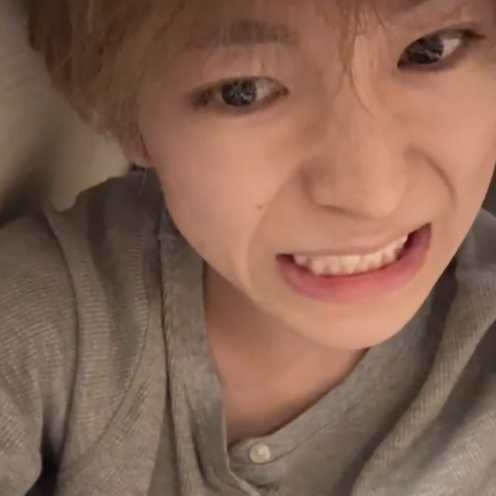 catchogling's tweet image. 배드배트 맘마먹음이 주워온지 며칠안됫는데 이만큼 자람