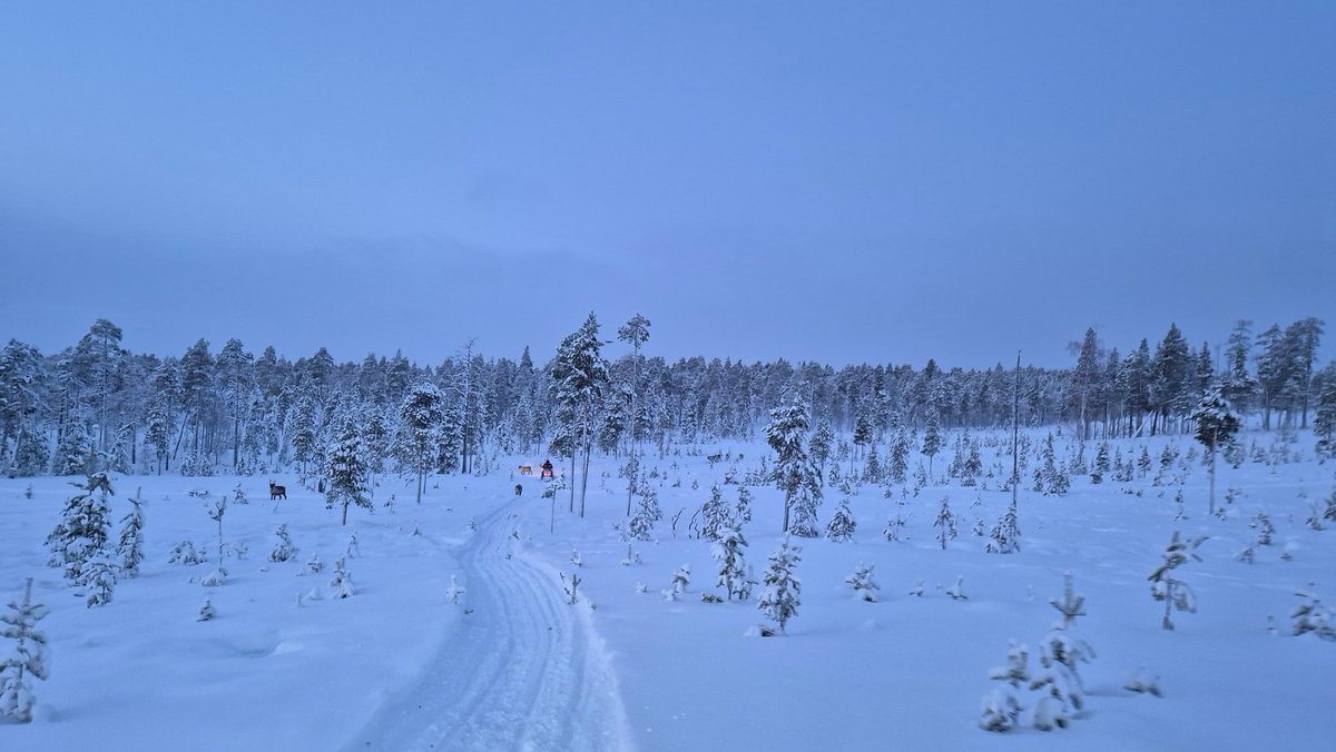 keski_e's tweet image. Vuoden pimein päivä kuulemma.
Yritetään pärjäillä 😎💙❄️ #ivalo #winterrules #lapland