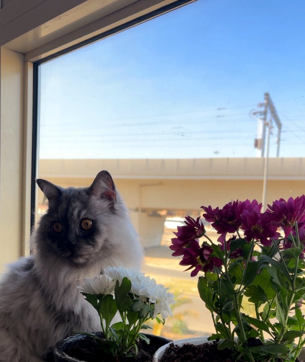 rowaida124's tweet photo. يارب 
برحمتك أستغيث،
أصلح لي شأني كله.
ولا تكلني إلى نفسي
طرفة عين 🤍 https://t.co/mplD66asKu