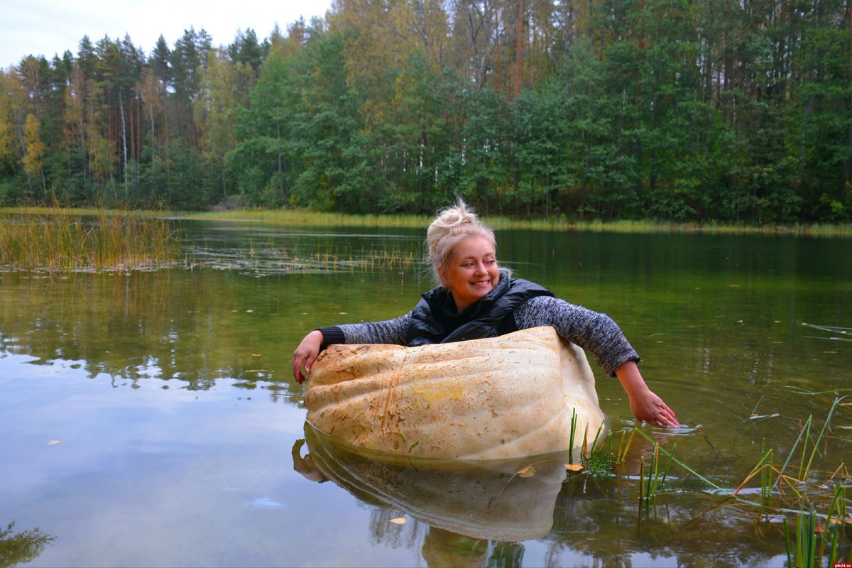 annavellikok's tweet image. Примерно раз в неделю я думаю о Юлии Богдановой, которая уже второй год выращивает гигантскую тыкву, чтобы переплыть на ней озеро.
Она знает, как жить