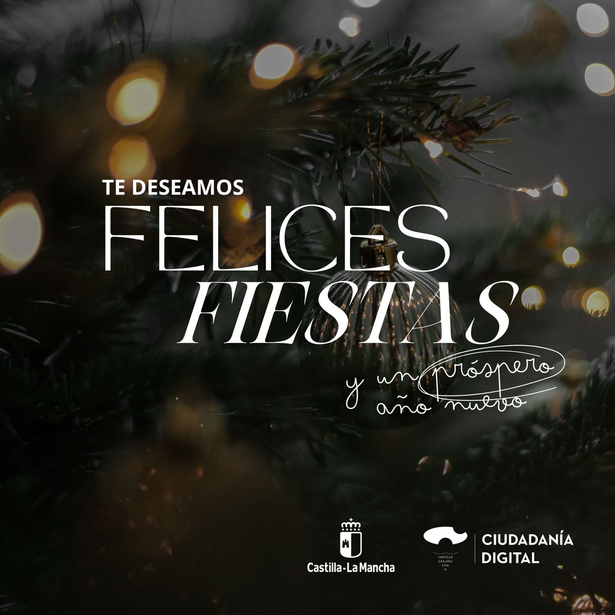 cdigitalclm's tweet photo. Desde Ciudadanía Digital os deseamos felices fiestas y próspero año nuevo 2026.

#CiudadaníaDigital #DigComp2.2. https://t.co/OcjEVtreNS