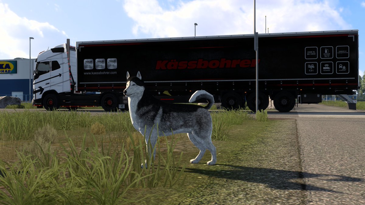 beebit145's tweet photo. #CruisingNordicHorizons

#bestcommunityever 

#AmericanTruckSimulator  

#EuroTruckSimulator2 https://t.co/1pp2MvpJPJ