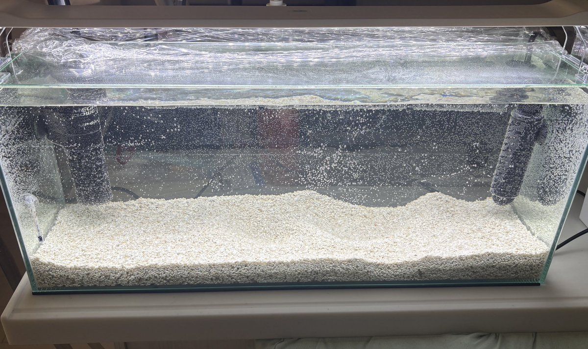 MISA16917725's tweet image. GEX 900スリム水槽に
GEX MEGA POWER 6090を設置しました！
想像以上に静かで大満足です✨
排水ラインがもう少し壁際だと思っていましたが、特に問題なく快適に使えています。
静音性を重視される方には本当におすすめです！
#GEX #MEGAPOWER6090 #アクアリウム　#熱帯魚