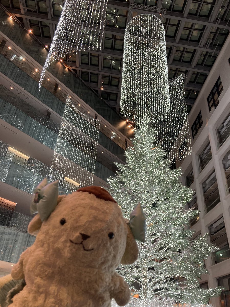 pakupurinn's tweet photo. U・ω・U『プリン、キッテのイルミネーションみてきたプリーーーっ✨❄️🤍📮🤍❄️✨』
#東京駅
#丸の内
#KITTE
#WHITEKITTE https://t.co/Zgdzju5N3y