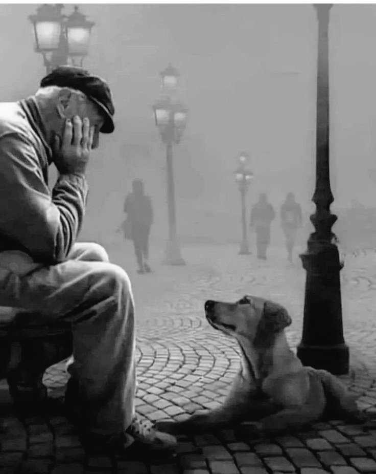 لـن تتـركـني
أليـس كـذالـك
You won't leave me
Isn't that so..?

أنـا لـست إنسـانآ
I am 
not a human being..!!