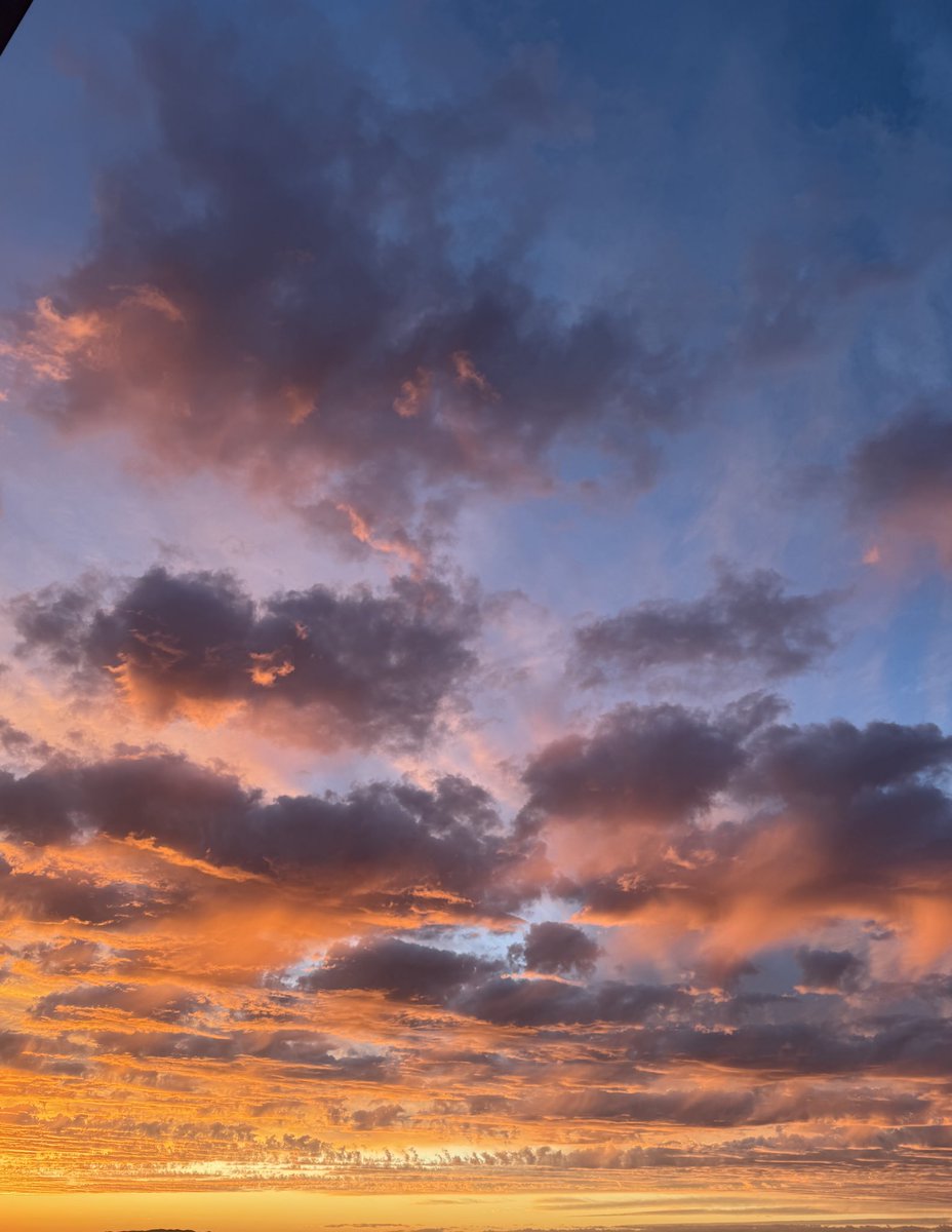 يذكرني مشهد الغروب بكل تلك اللحظات الرائعة التي حدثت قبل النهاية .. 
يحدث الآن.