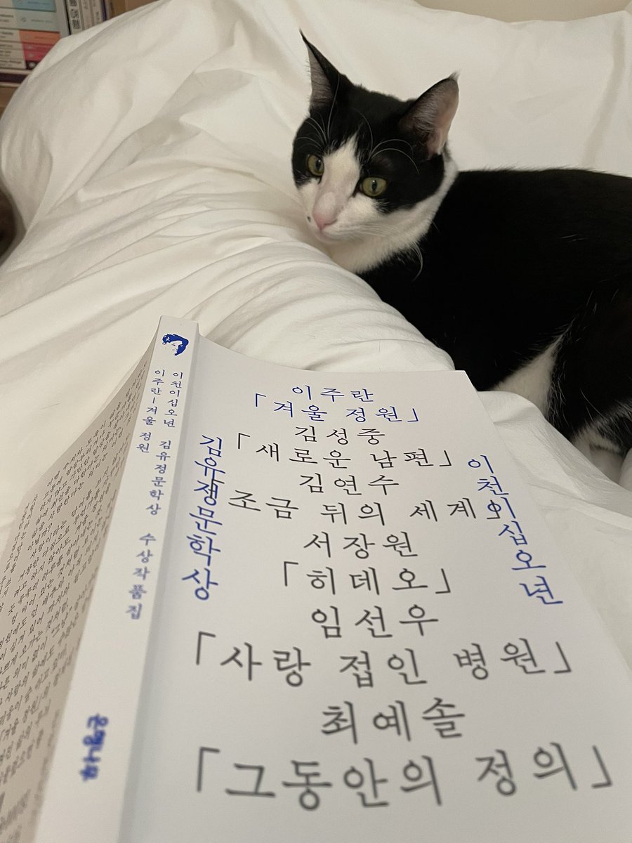 bebead1's tweet photo. 12월 21일 일요일 겨울밤 https://t.co/vAZcu1FWPs