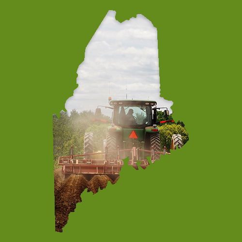 Did you know that Maine ranks in the top 10 states for potato production in the U.S.? Roughly 65% of Maine potatoes are used to make French fries and potato chips! #NationalMaineDay