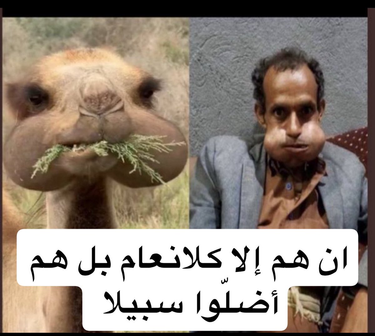 abwwayl43720536's tweet photo. @BRICSinfoar @M100368 الذهب حقنا نقران وقيزان وأسير أرض يمنية 😂😂😂 https://t.co/6R0I9oY7yl