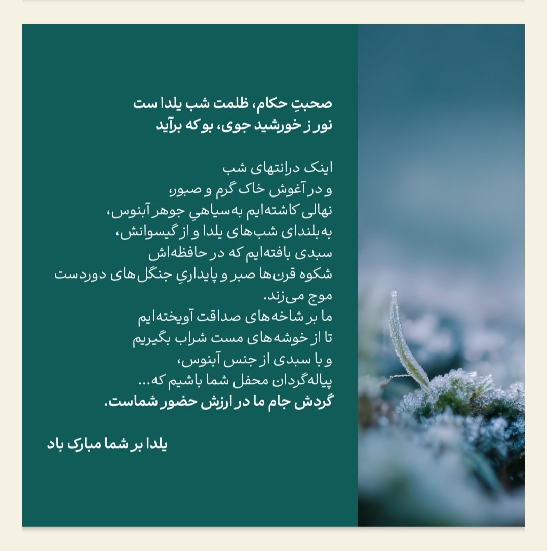 abnouspmc's tweet photo. یلداتون مبارک https://t.co/pvlZOycNF8