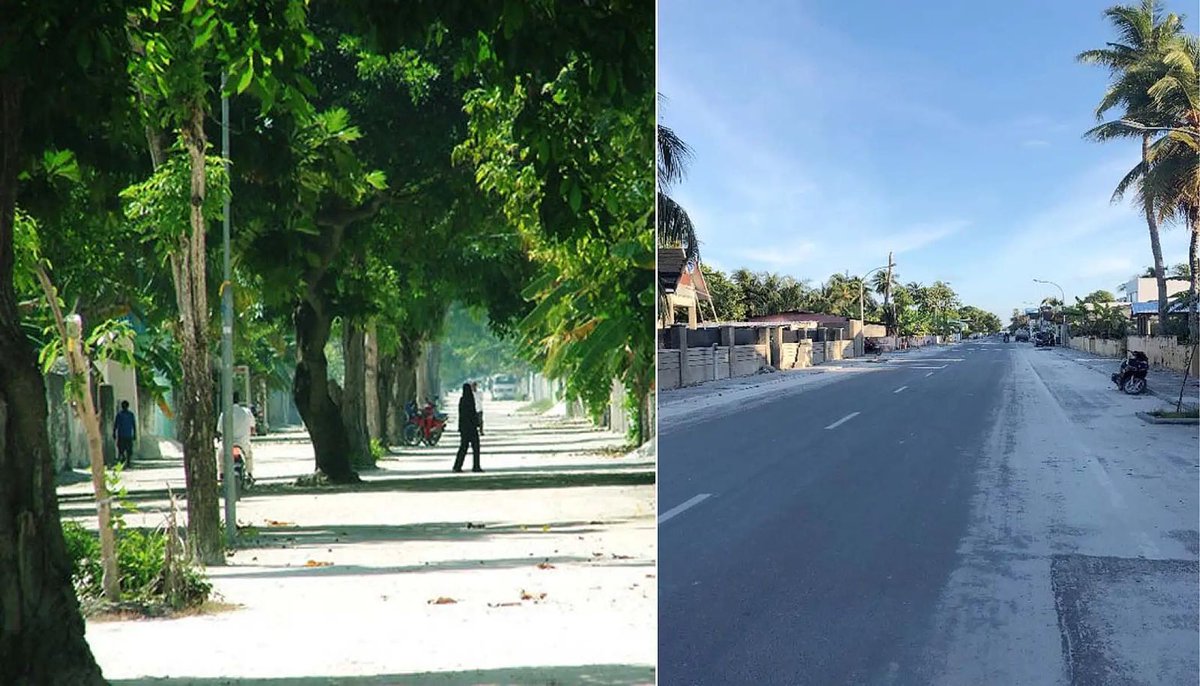 <a href="/MohamedNasheed/">Mohamed Nasheed</a> ސ. ހުޅުމީދޫ ބޮޑު މަގު މިހާރު (ކަނާތްފަރާތުގައި) އަދި އެ މަގު ކުރީގައި: ހިޔާ ދޭ ބޮޑެތި ގަސްތައް ނައްތާލައި ތާރު އެޅުމުން ރަށުގެ އިގްތިސާދީ އެއްވެސް ހަރަކާތެއް ކުރިއަރައި މީހުންގެ އާމްދަނީއަށް ފައިދާވި ތަނެއް ނުފެންނަ އިރު، ހޫނުގަދަކަމުން ހިނގަން ވަނީ އުނދަގޫވެފައި.މިކަން ކުރެއްވީ