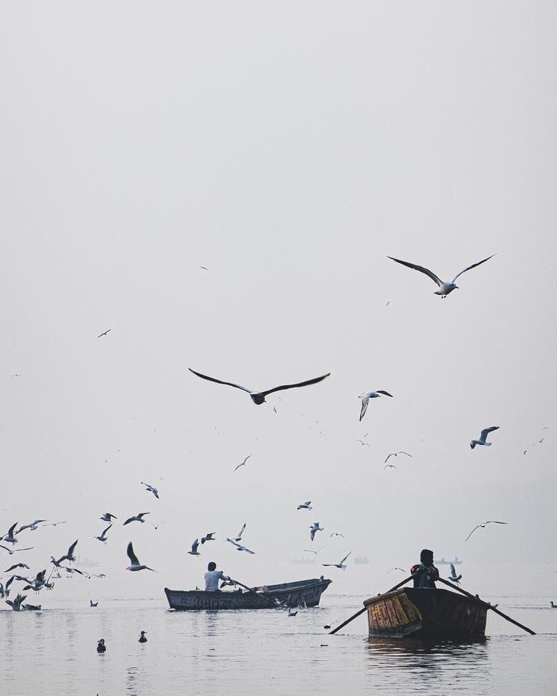 fos7a_f's tweet image. "يُجَاهدُ المرءُ والآمالُ تدفعهُ
وليس يظفرُ .. إِلا بالذي قُدِرا".