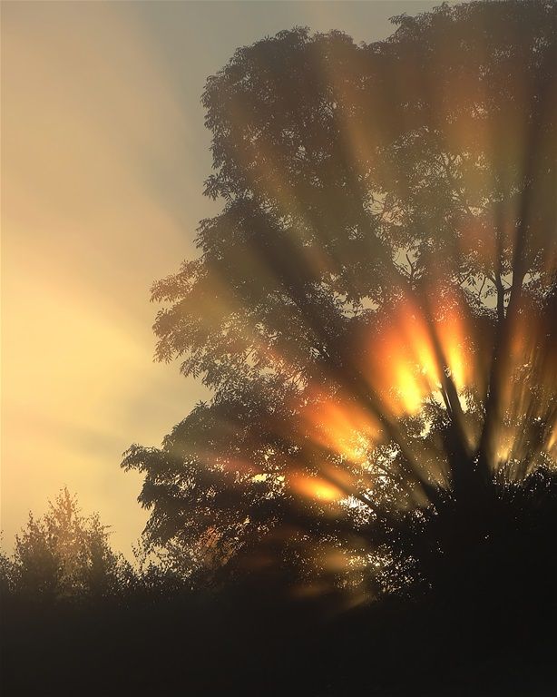 ᅠ ᅠ (@greendreaams) on Twitter photo 