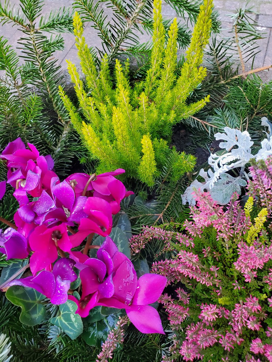 🌍Travel_with_me tweet media