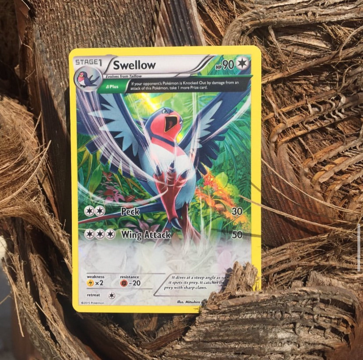 Braydon (@braydonxii) on Twitter photo 