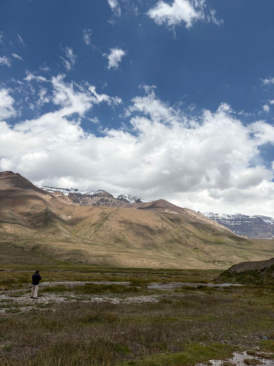 Summer time of course here in the Andes 🏔. A great display of flowers on show  and yours truly happily  papping DSP . Still buzzing 😍 📸 by Kim.