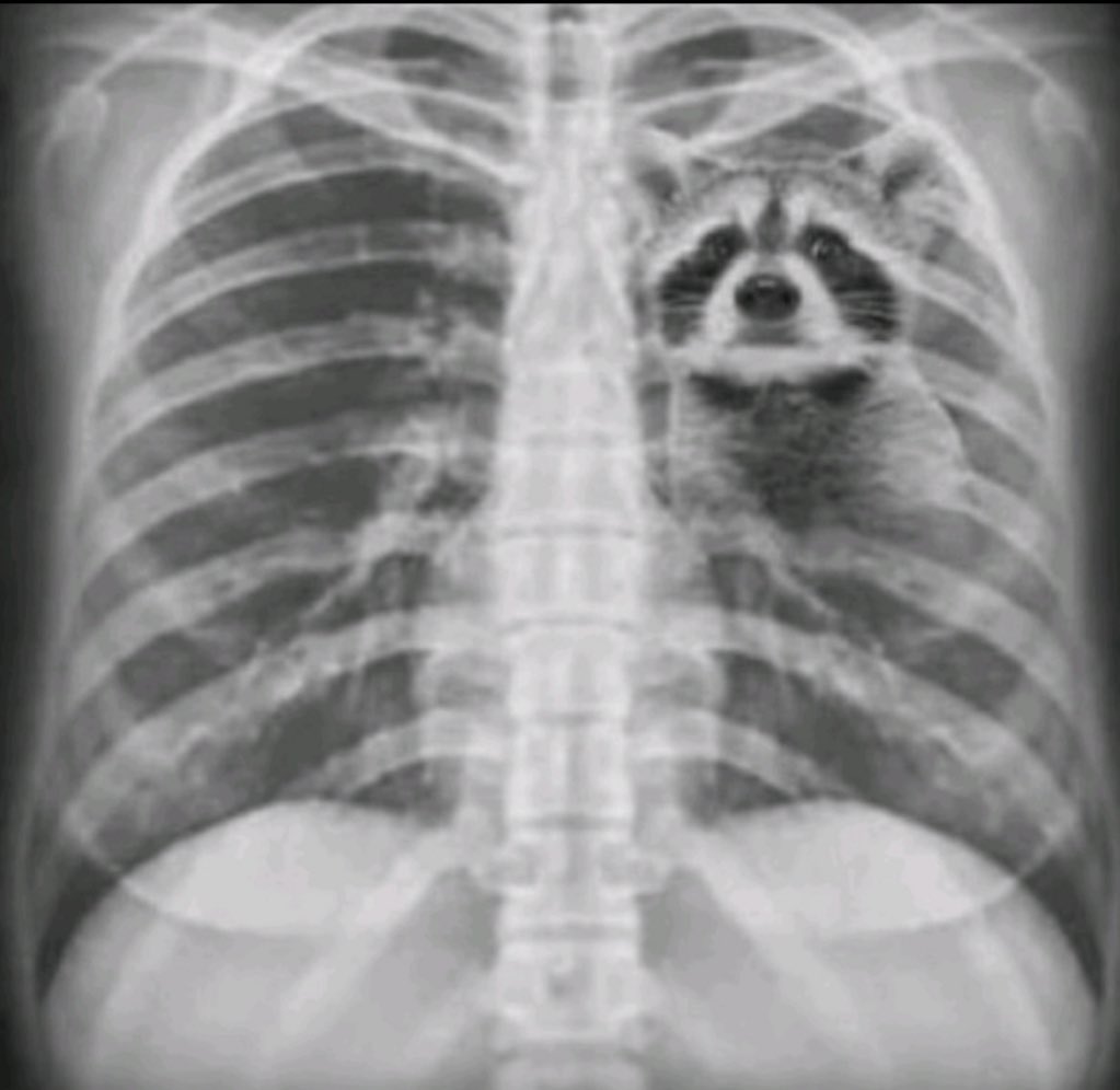 The Black Hokage (@theblackhokage) on Twitter photo 