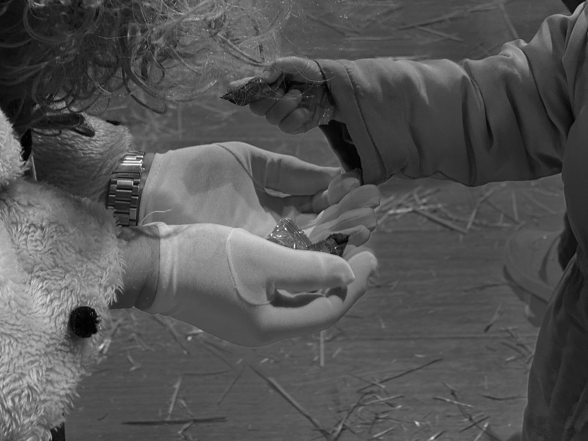 El centro de #Parla se ha llenado de amor, paz, esperanza, emoción y mucha magia en el último día del 𝐁𝐞𝐥𝐞́𝐧 𝐕𝐢𝐯𝐢𝐞𝐧𝐭𝐞. 👼🏻✨

Hoy con la participación de Casa Madrid y el Coro de Promoción de la Mujer La Paz. Desde la Concejalía de Cultura (<a href="/GemaGmagt/">Gema</a>)…

🧵