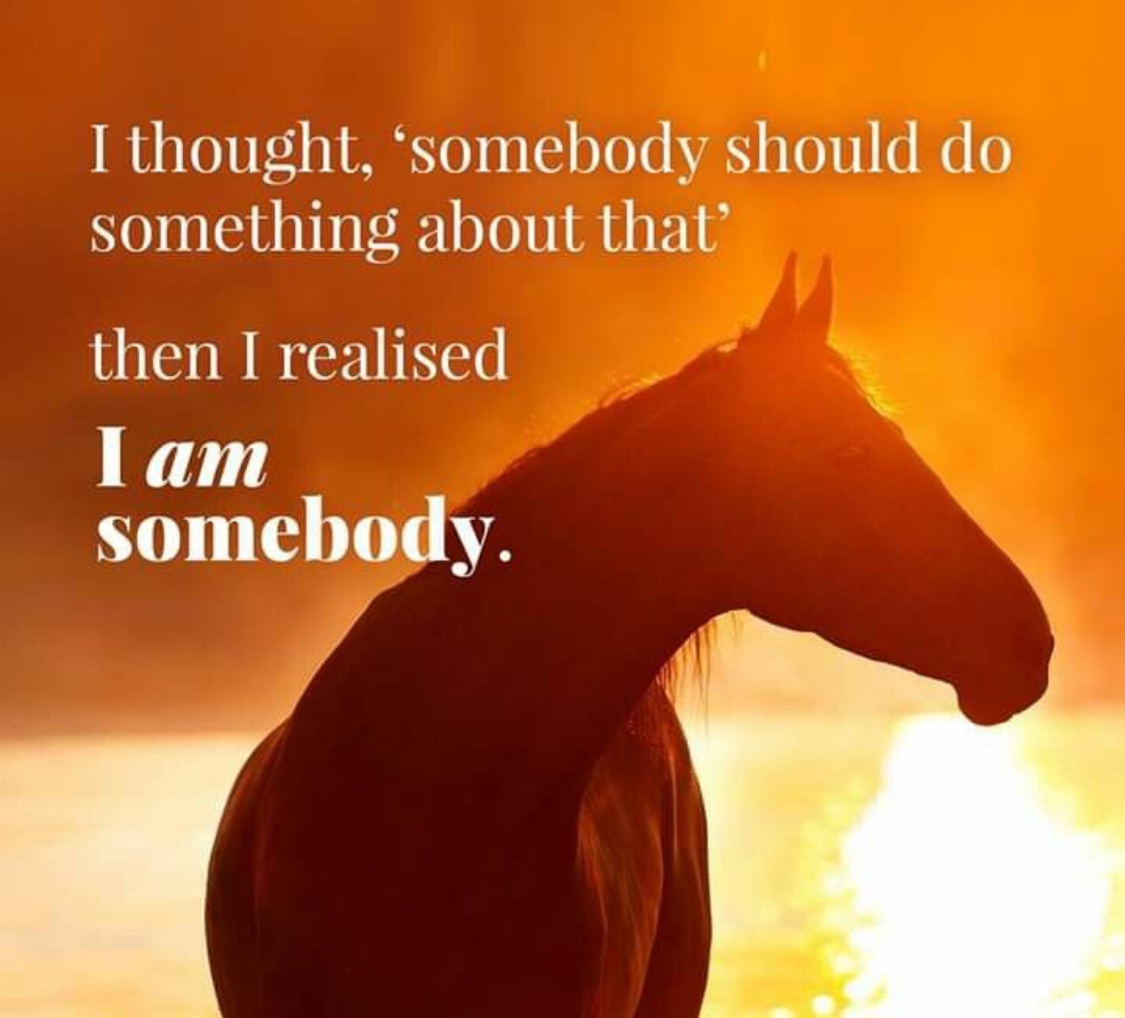 Aer (@aerizaekk) on Twitter photo 