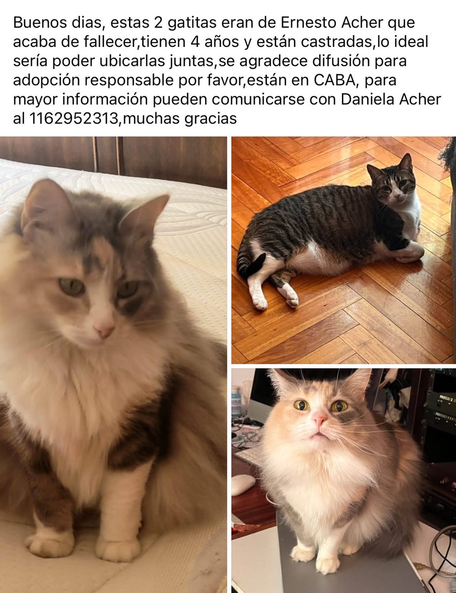 Por favor , RT
