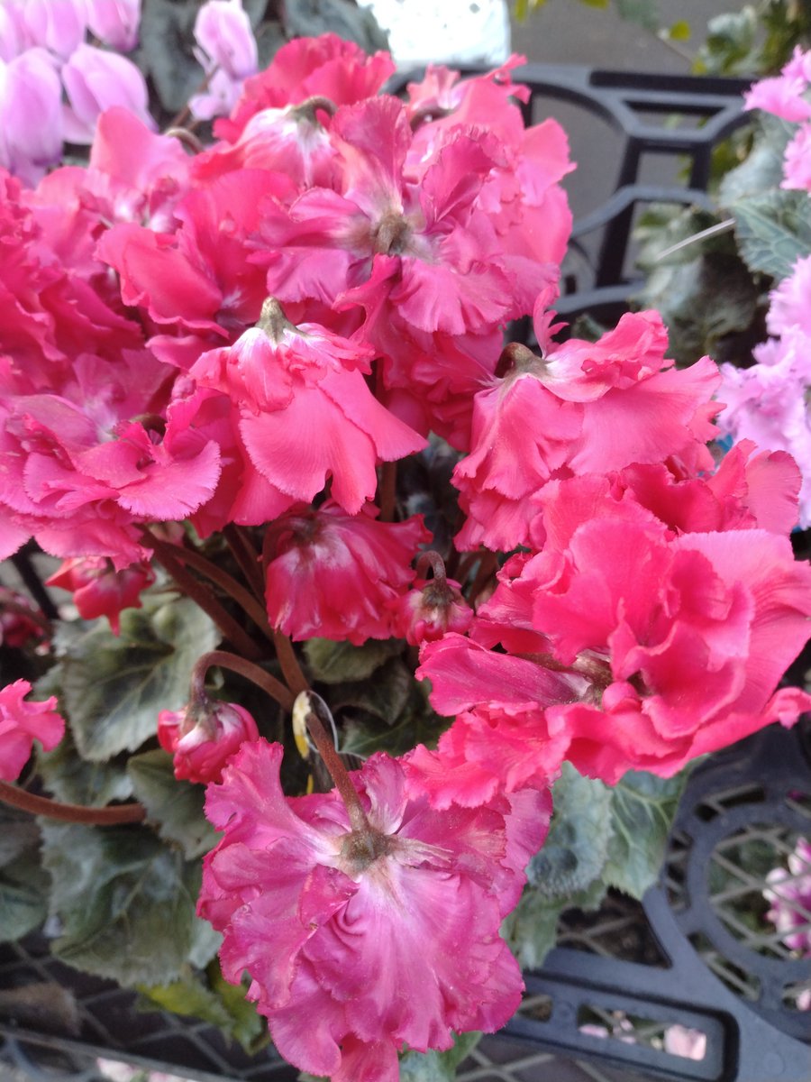 桜12ochi🌸🐋🏍🐺 (@zDjnsQkfFzeKty7) / Posts / X