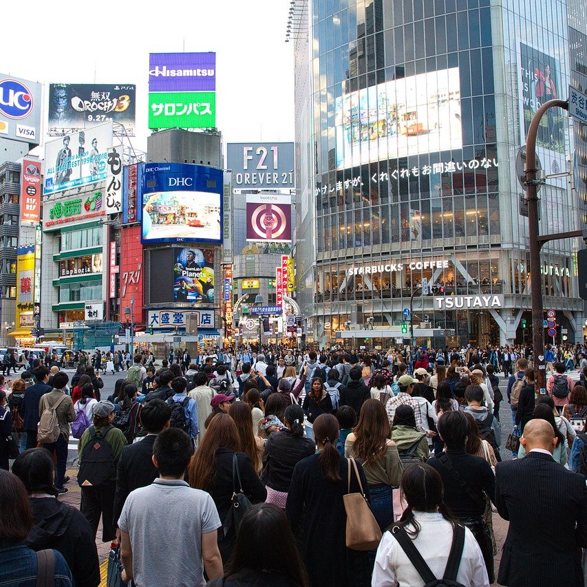 GlobalStatsX tweet media